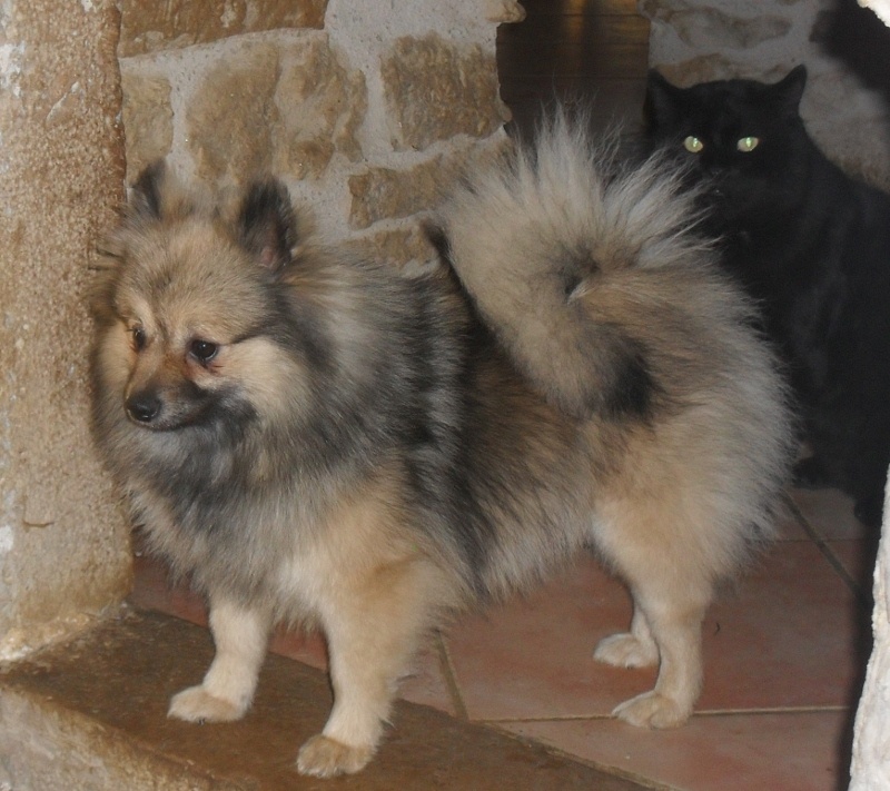 Ichka Du Flouz'y Garten